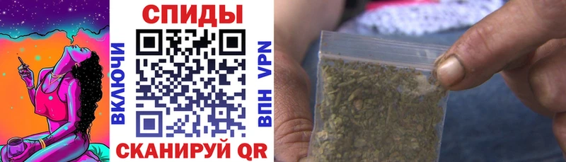 Бутират буратино  Полярные Зори 