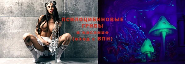 стаф Осташков