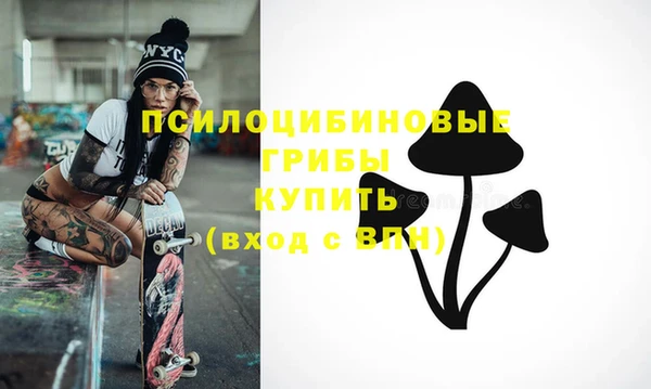 СК Алексин