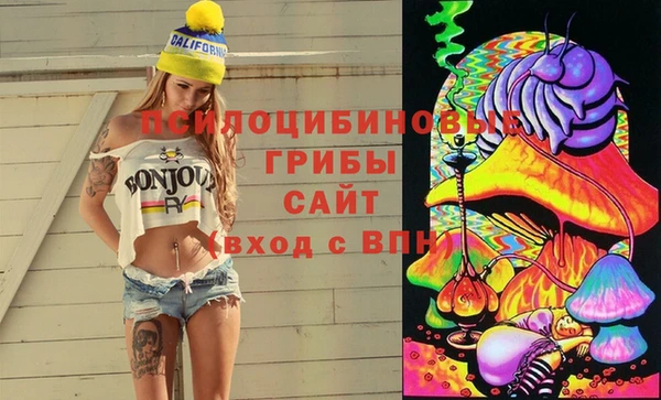 СК Алексин