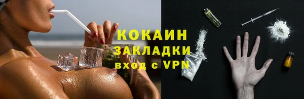 СК Алексин
