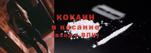 крисы Осинники