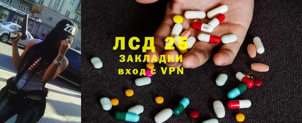 СК Алексин
