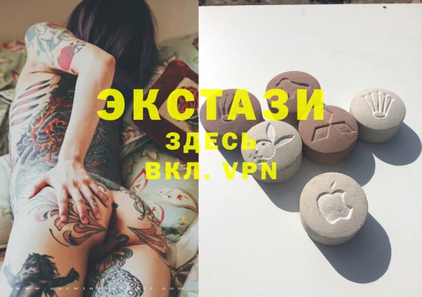 СК Алексин