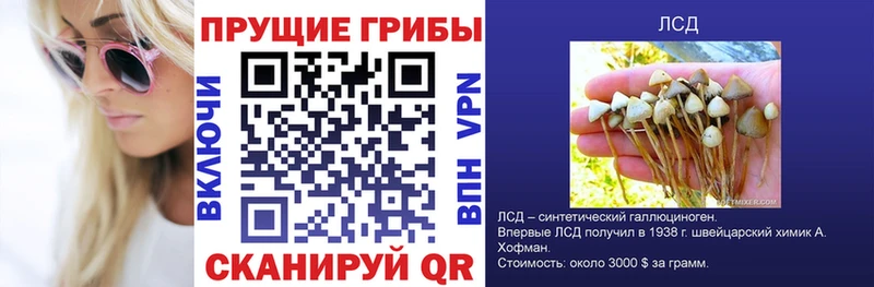 Галлюциногенные грибы Magic Shrooms  наркота  Полярные Зори 